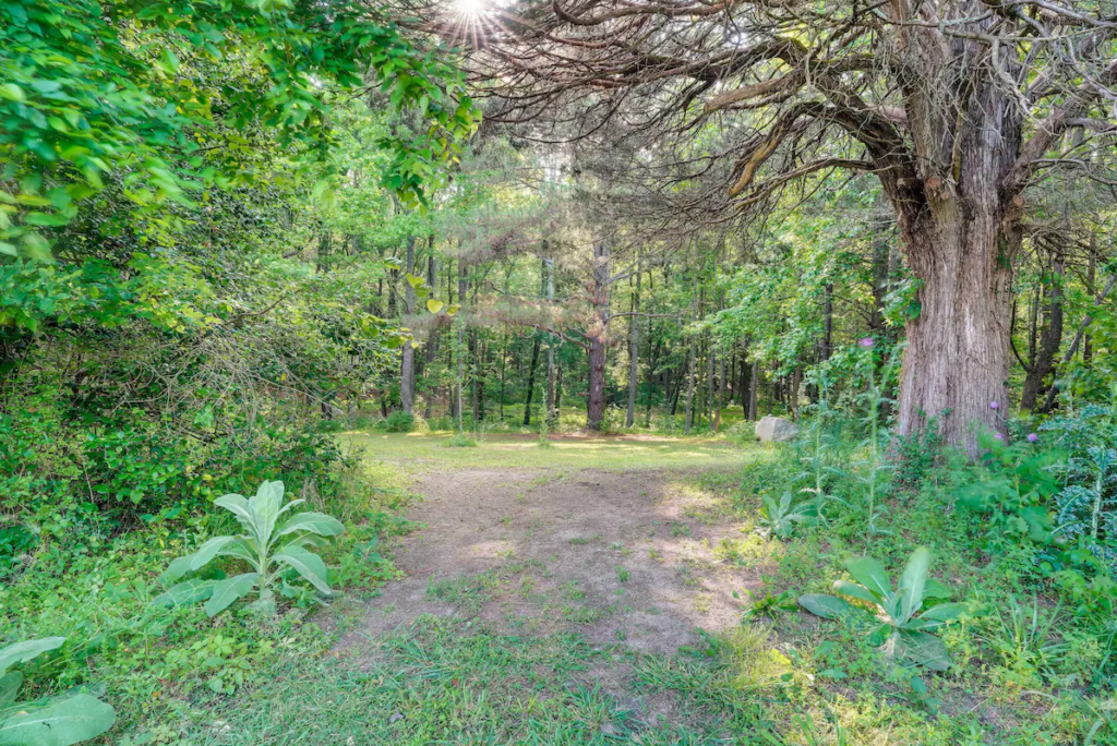 Path into the woods at Terre Haute Farm and Retreat Center, Midlothian Va.